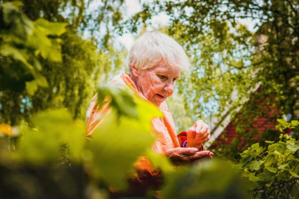 vielle personne dans la nature vielle personne dans la nature